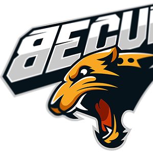 becub滑板logo设计