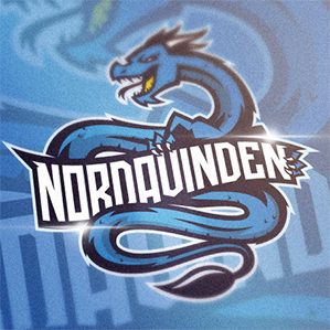 Northwind emblem identity，Northwind team | Branding 图形设计 插图 品牌推广