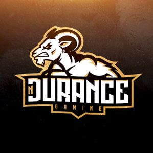 Logo for nDurance Gaming team，nDurance | Branding 插图 艺术指导 品牌推广