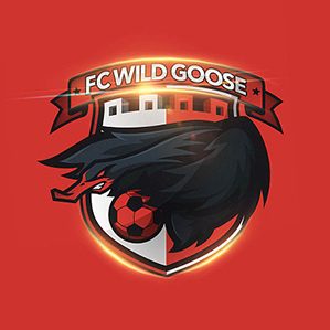 FC WILD GEESE