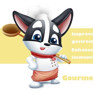 DOG 狗狗的FOOD