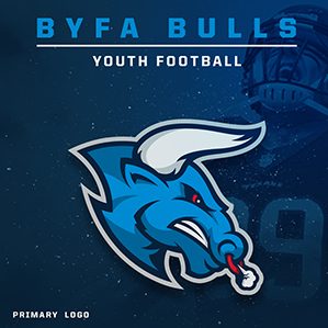 Winning logo for a Pee Wee football team in Boerne.艺术指导 品牌推广