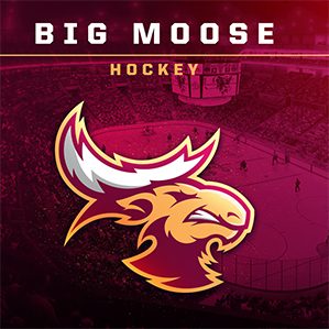 Hockey Team/Store Branding BIG MOOSE HOCKEY 艺术指导 品牌推广 图形设计