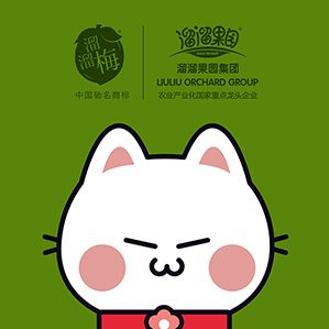 合作品牌：溜溜梅 创意设计团队：互萌丨HOMOE 版权归属：此设计最终版权