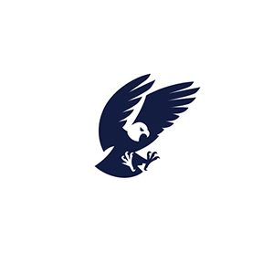 This project is a selection of my bird logos from the past years. You can find birds