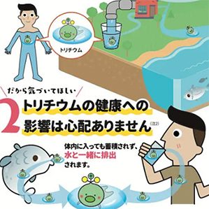 传单中解释称，放射性氚也存在于雨水、海水、自来水和人类的身体中。传单还称，由于放射性氚不会