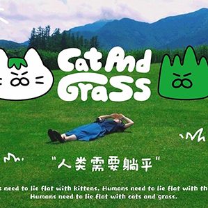 我们创作自有IP品牌“猫猫草草”。一个像猫的草，和一个像草的猫,他们的组合叫做猫猫草草