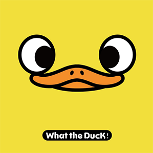 W.T.DUCK什么鸭品牌策划